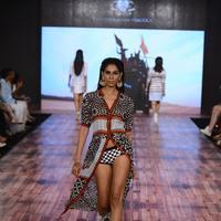 India Beach Fashion Week Day 1 All Shows with Showstoppers Stills | Picture 1321446