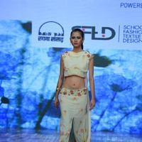 India Beach Fashion Week Day 1 All Shows with Showstoppers Stills | Picture 1321454