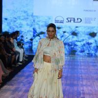 India Beach Fashion Week Day 1 All Shows with Showstoppers Stills | Picture 1321471