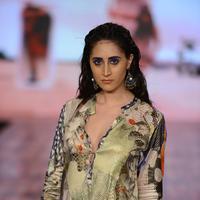 India Beach Fashion Week Day 1 All Shows with Showstoppers Stills | Picture 1321479