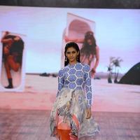 India Beach Fashion Week Day 1 All Shows with Showstoppers Stills | Picture 1321482