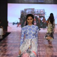 India Beach Fashion Week Day 1 All Shows with Showstoppers Stills | Picture 1321486