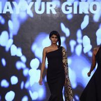 India Beach Fashion Week Day 1 All Shows with Showstoppers Stills | Picture 1321491