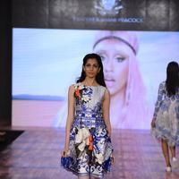 India Beach Fashion Week Day 1 All Shows with Showstoppers Stills | Picture 1321496