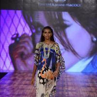 India Beach Fashion Week Day 1 All Shows with Showstoppers Stills | Picture 1321502