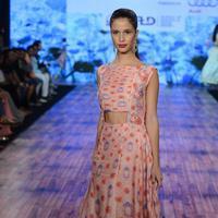 India Beach Fashion Week Day 1 All Shows with Showstoppers Stills | Picture 1321503