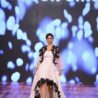 India Beach Fashion Week Day 1 All Shows with Showstoppers Stills | Picture 1321515