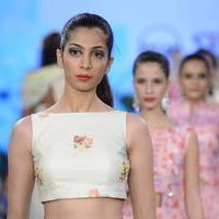 India Beach Fashion Week Day 1 All Shows with Showstoppers Stills | Picture 1321520