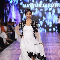 India Beach Fashion Week Day 1 All Shows with Showstoppers Stills | Picture 1321527