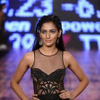 India Beach Fashion Week Day 1 All Shows with Showstoppers Stills | Picture 1321533