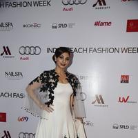 India Beach Fashion Week Day 1 All Shows with Showstoppers Stills | Picture 1321565