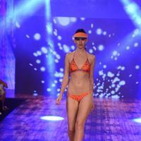 India Beach Fashion Week Day 1 All Shows with Showstoppers Stills | Picture 1321585