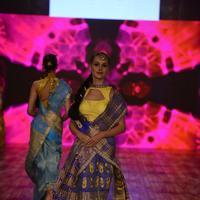 India Beach Fashion Week Day 1 All Shows with Showstoppers Stills | Picture 1321590