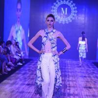 India Beach Fashion Week Day 1 All Shows with Showstoppers Stills | Picture 1321600