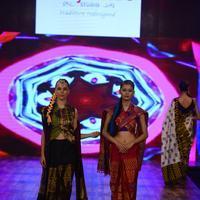 India Beach Fashion Week Day 1 All Shows with Showstoppers Stills | Picture 1321601