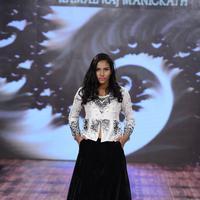 India Beach Fashion Week Day 1 All Shows with Showstoppers Stills | Picture 1321609