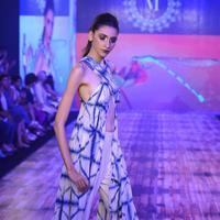 India Beach Fashion Week Day 1 All Shows with Showstoppers Stills | Picture 1321611