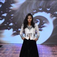 India Beach Fashion Week Day 1 All Shows with Showstoppers Stills | Picture 1321619