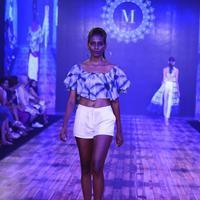 India Beach Fashion Week Day 1 All Shows with Showstoppers Stills | Picture 1321621