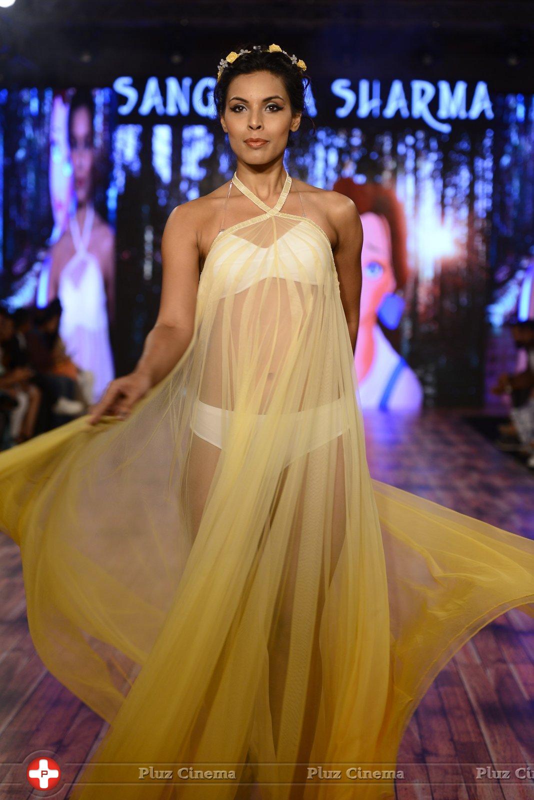 India Beach Fashion Week Day 1 All Shows with Showstoppers Stills | Picture 1321672