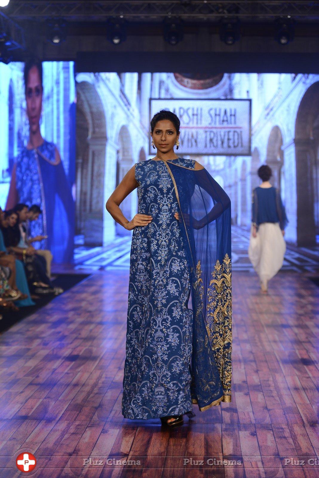 India Beach Fashion Week Day 1 All Shows with Showstoppers Stills | Picture 1321699