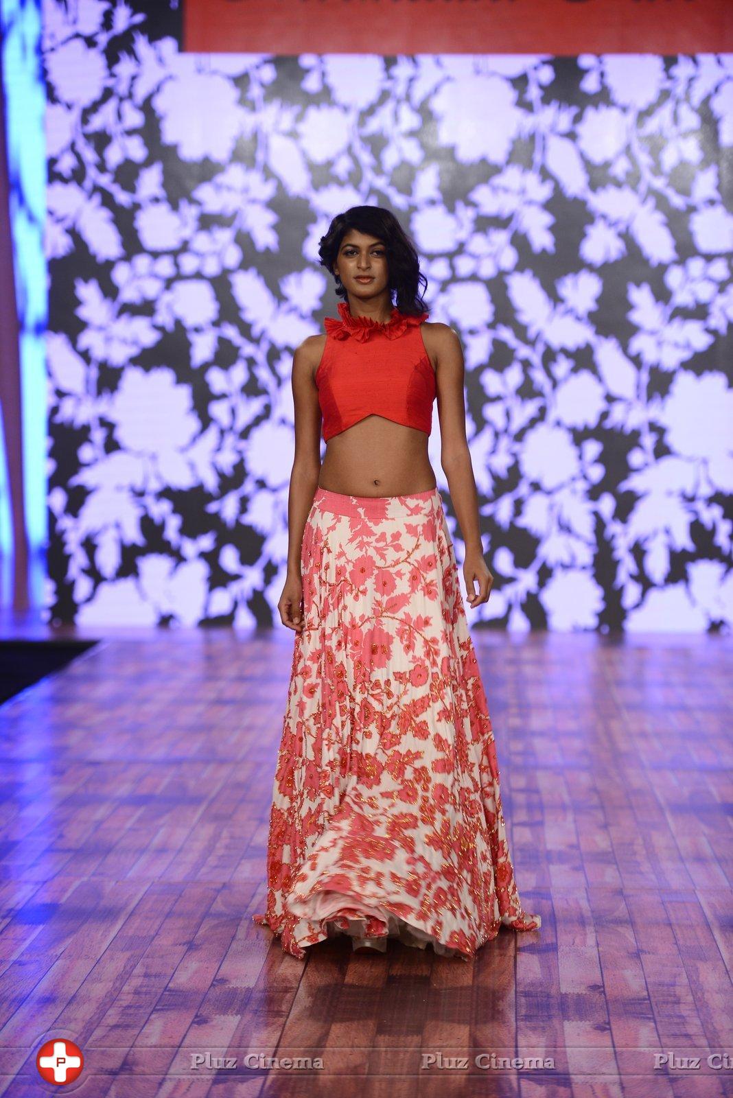 India Beach Fashion Week Day 1 All Shows with Showstoppers Stills | Picture 1321795