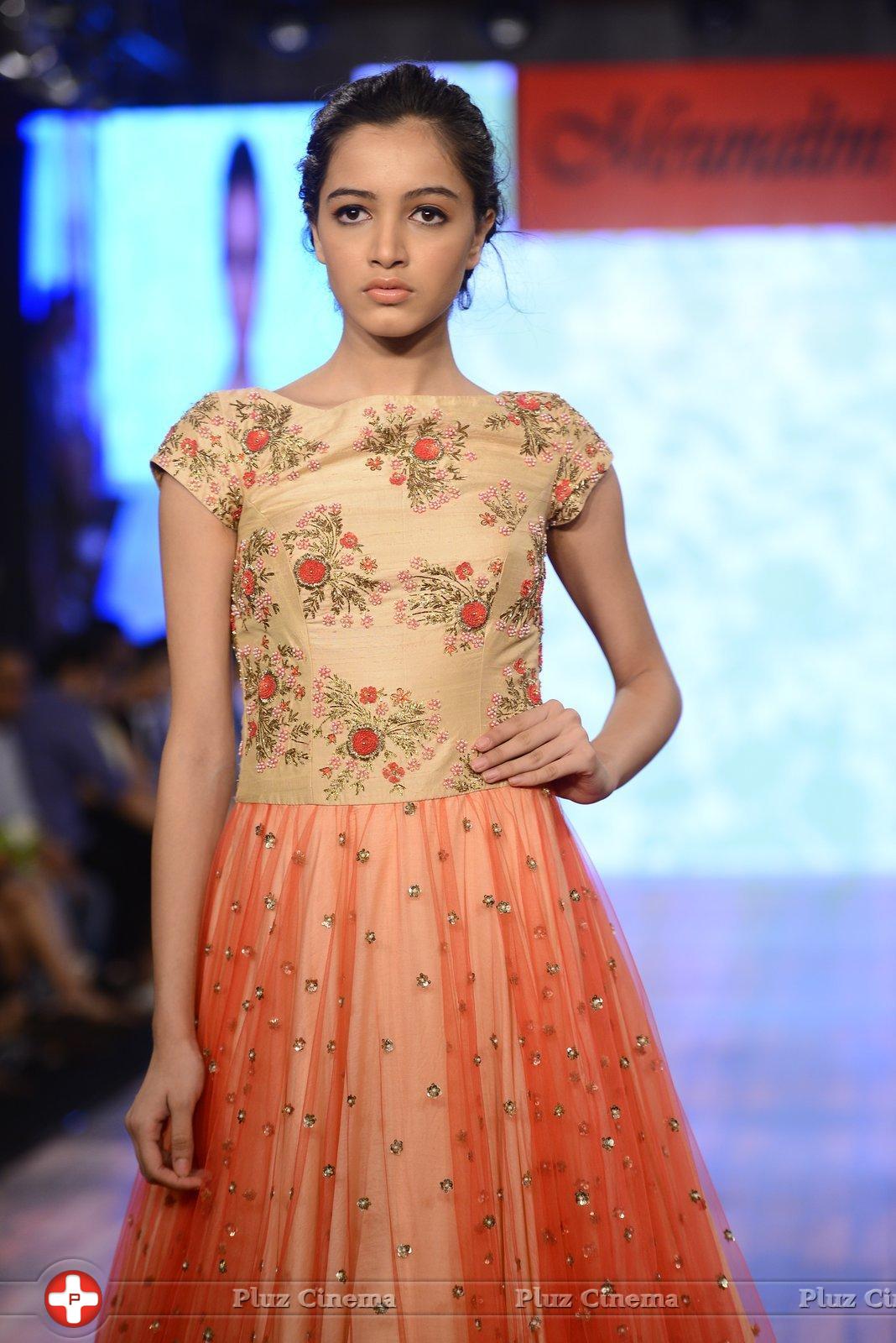 India Beach Fashion Week Day 1 All Shows with Showstoppers Stills | Picture 1321814