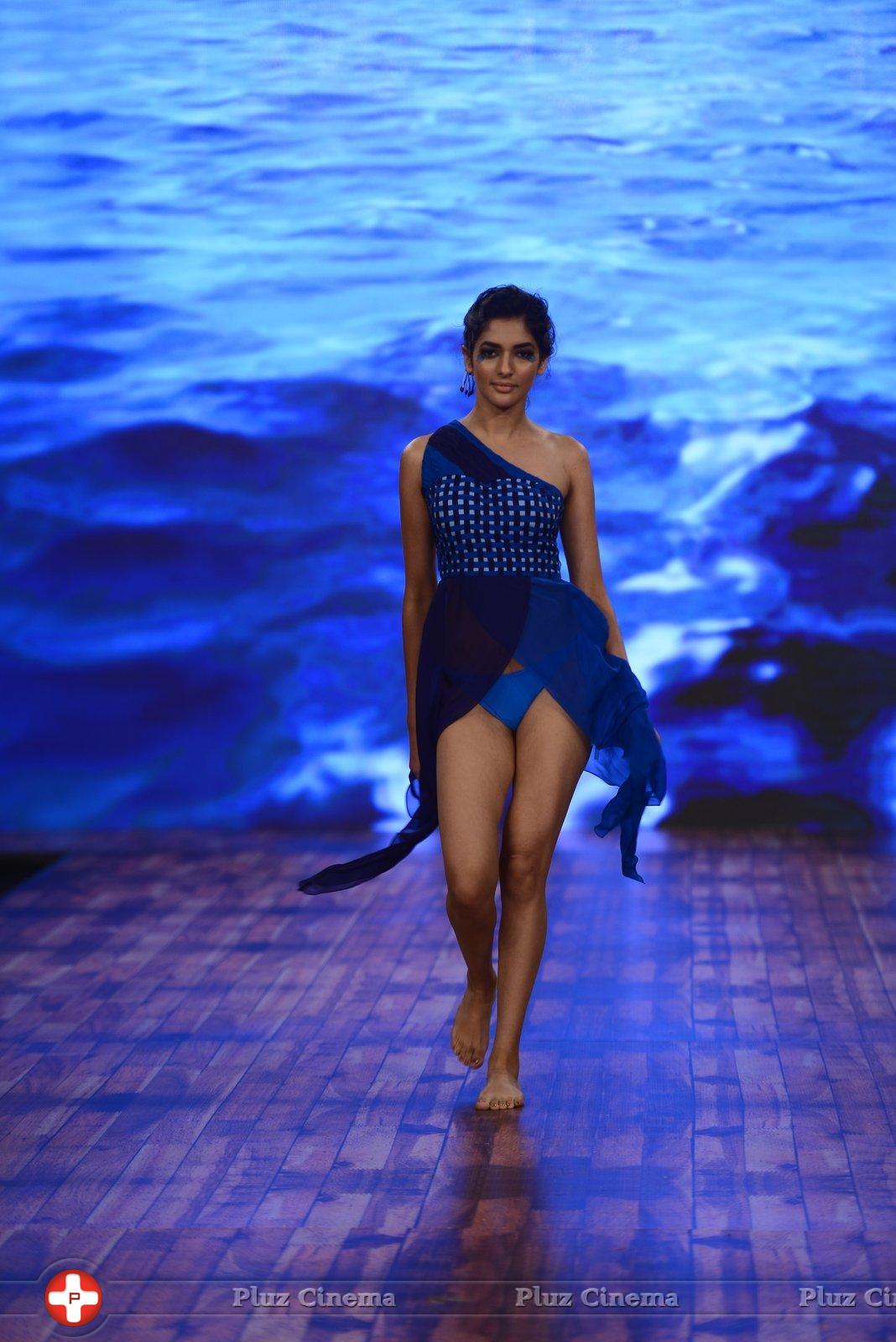 India Beach Fashion Week Day 1 All Shows with Showstoppers Stills | Picture 1321833