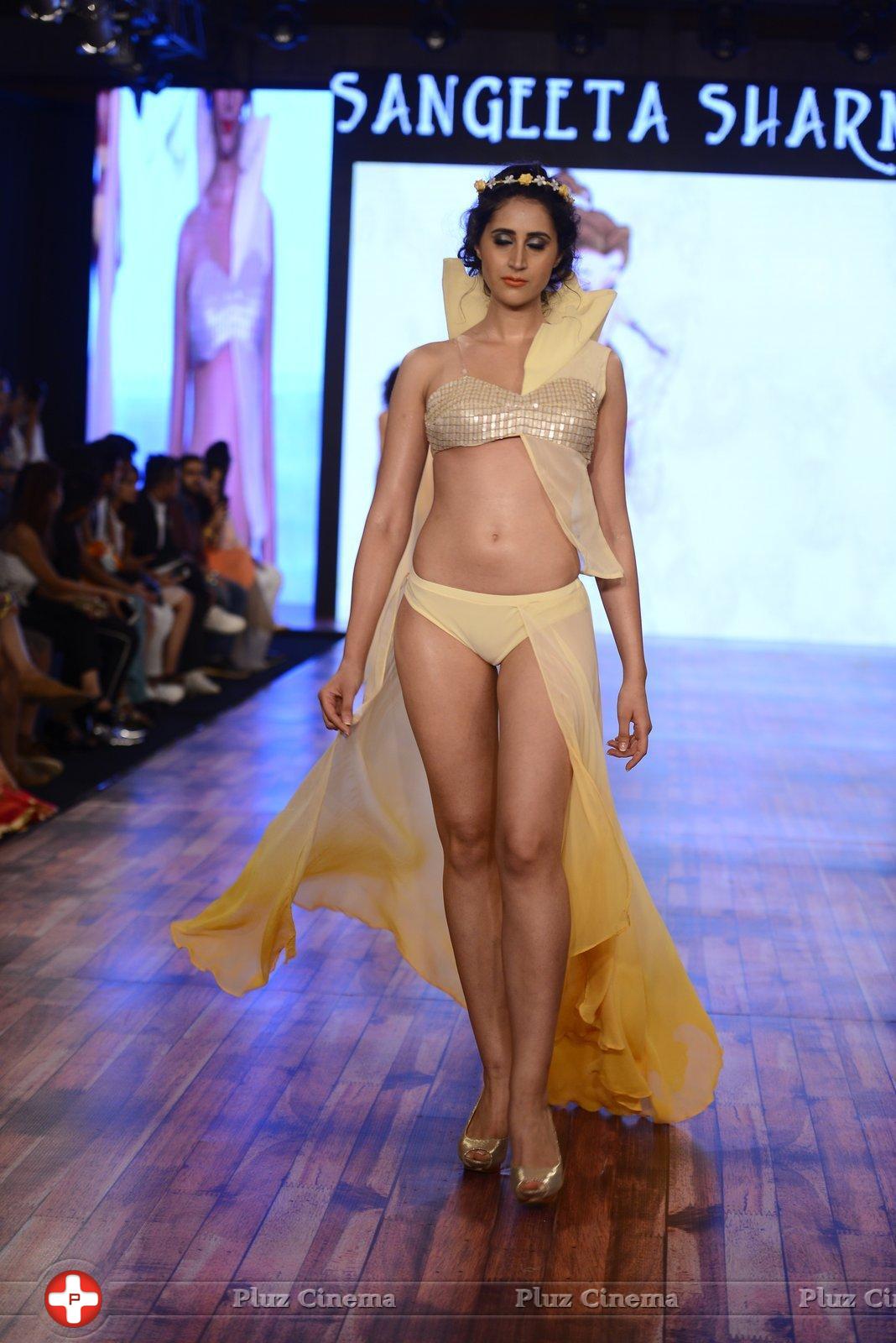 India Beach Fashion Week Day 1 All Shows with Showstoppers Stills | Picture 1321856