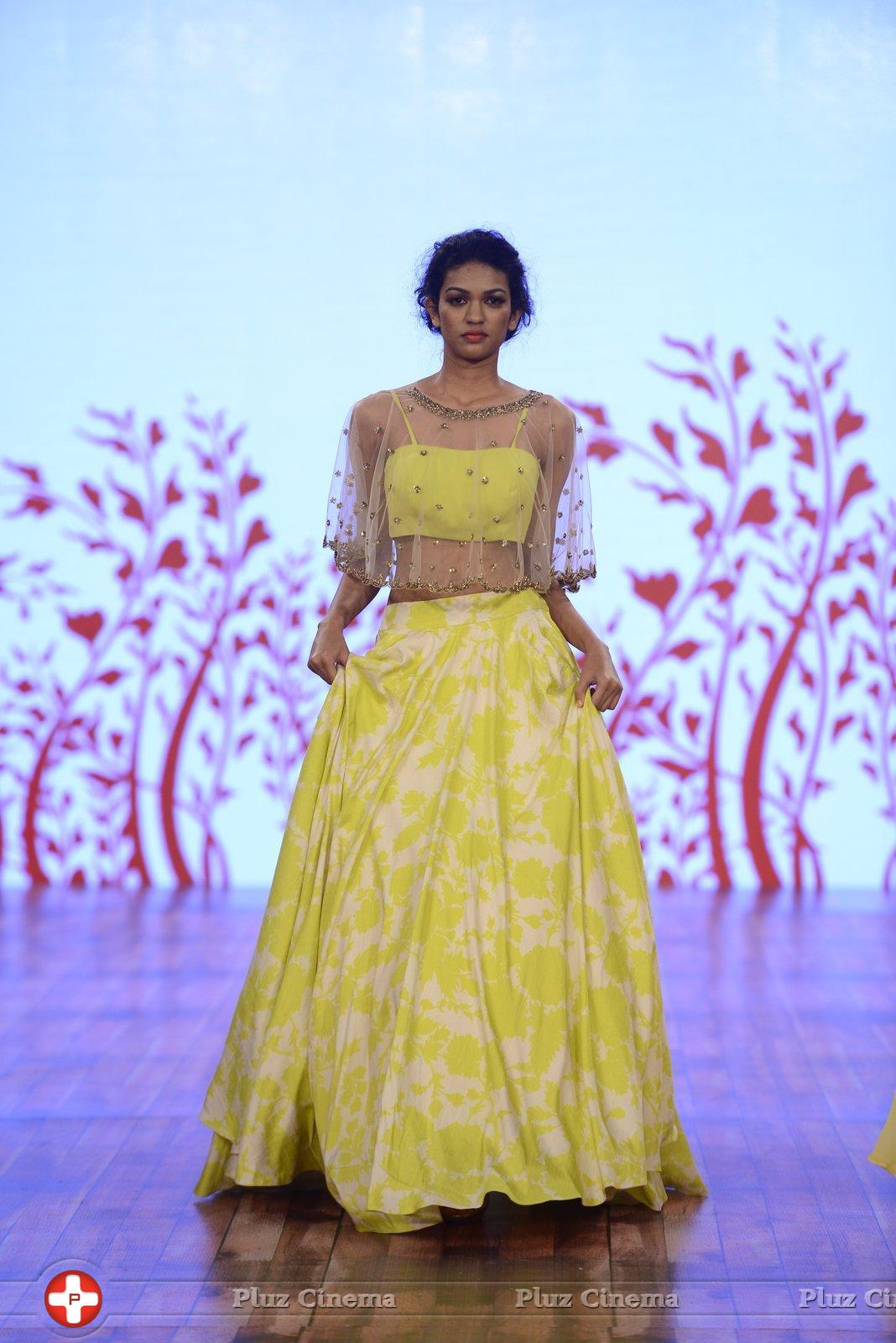 India Beach Fashion Week Day 1 All Shows with Showstoppers Stills | Picture 1321875