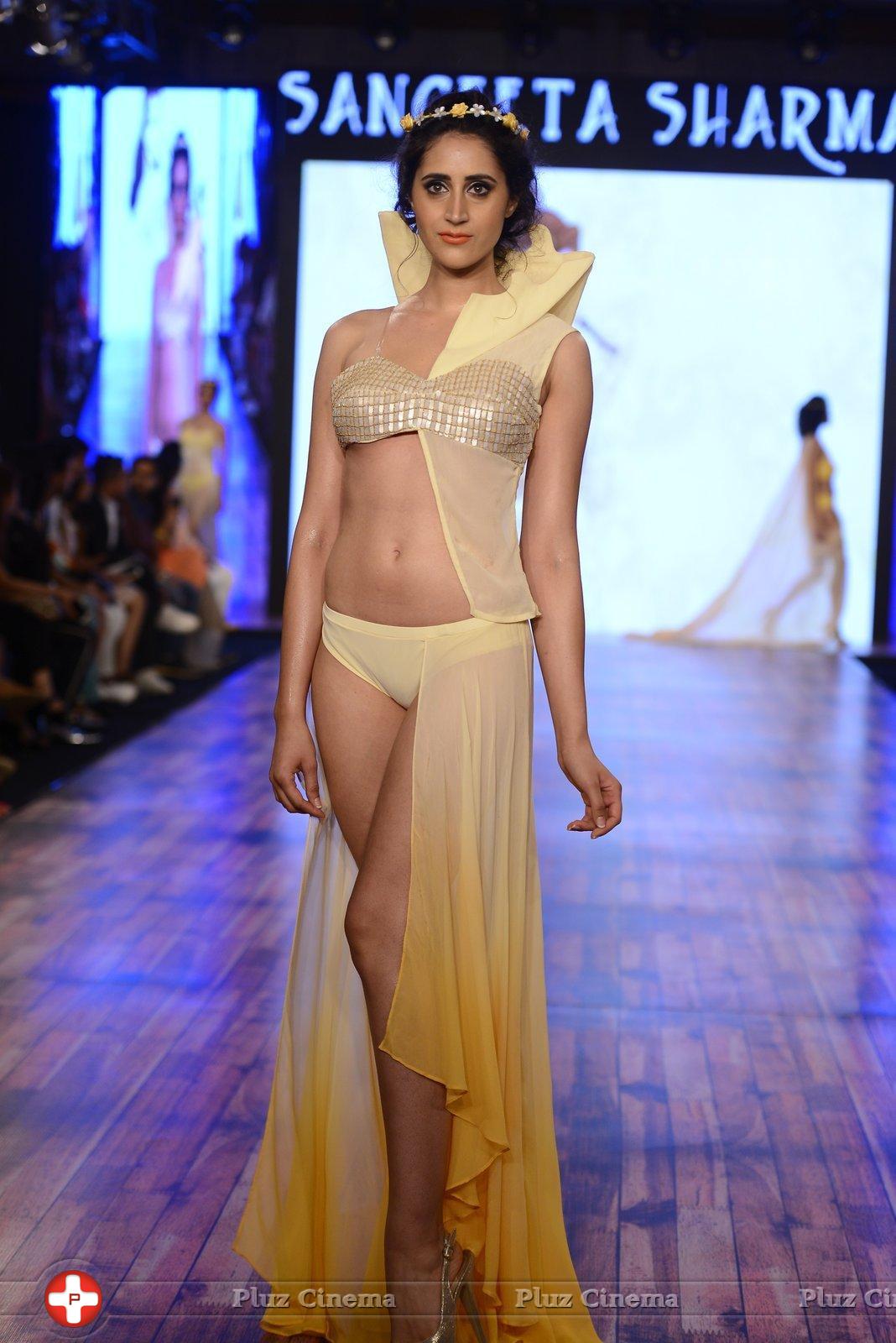 India Beach Fashion Week Day 1 All Shows with Showstoppers Stills | Picture 1321877