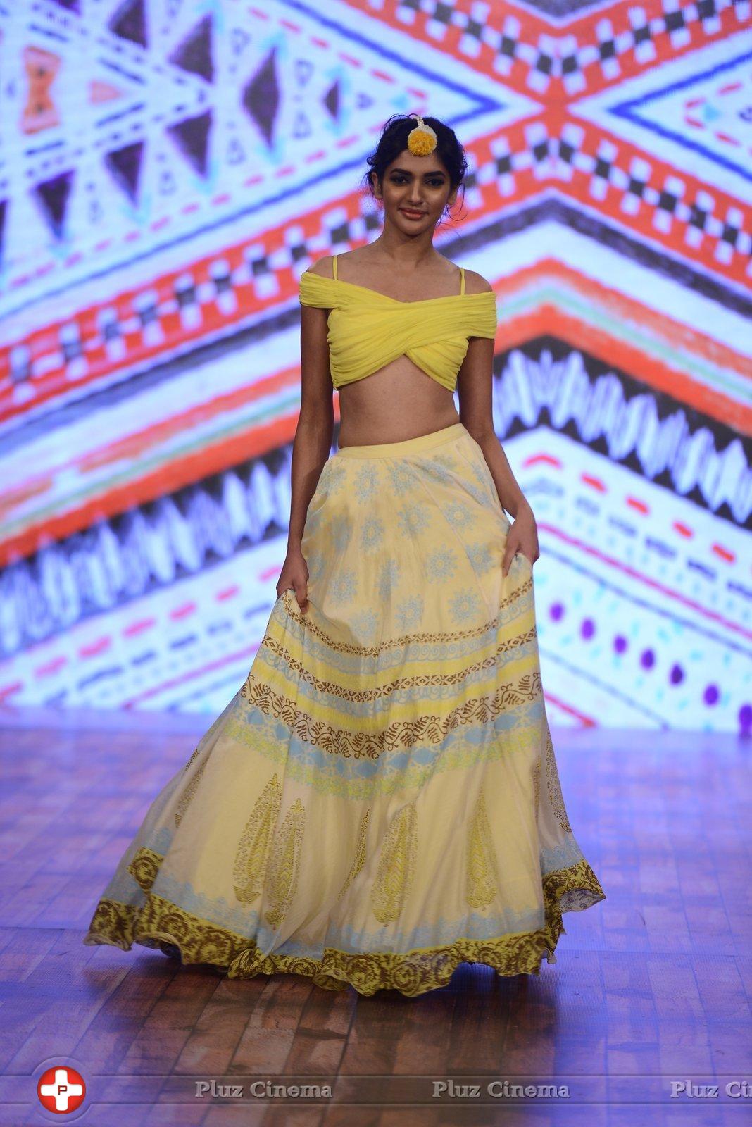 India Beach Fashion Week Day 1 All Shows with Showstoppers Stills | Picture 1321878