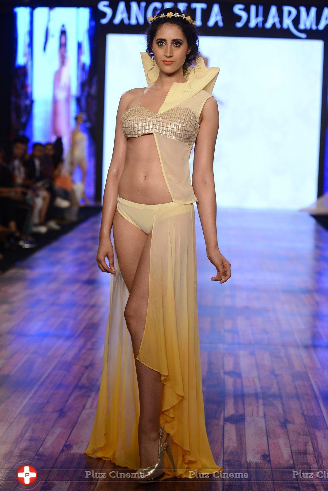 India Beach Fashion Week Day 1 All Shows with Showstoppers Stills | Picture 1321898