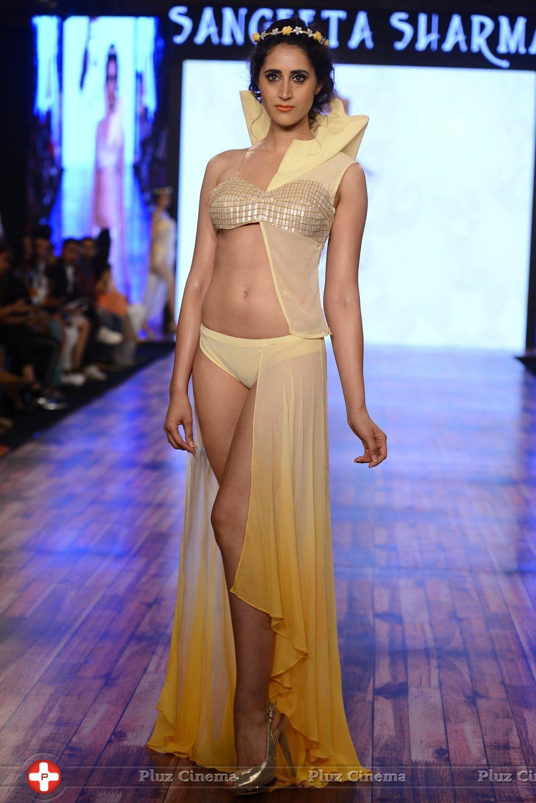 India Beach Fashion Week Day 1 All Shows with Showstoppers Stills | Picture 1321918