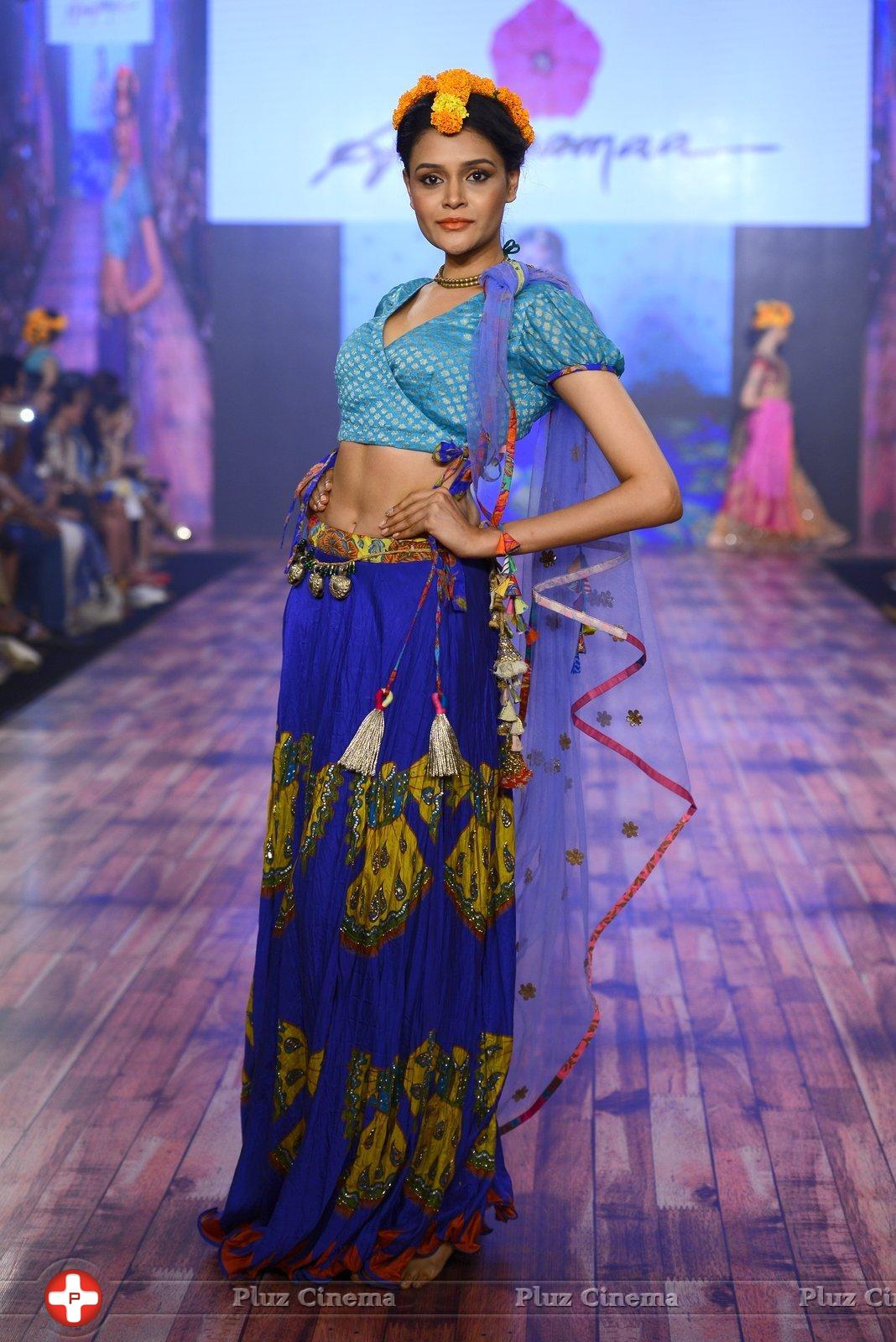 India Beach Fashion Week Day 1 All Shows with Showstoppers Stills | Picture 1321930