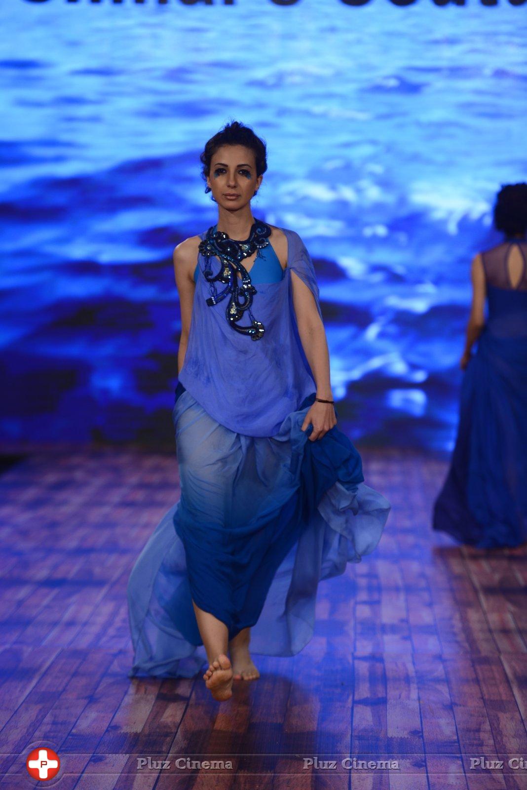 India Beach Fashion Week Day 1 All Shows with Showstoppers Stills | Picture 1321933