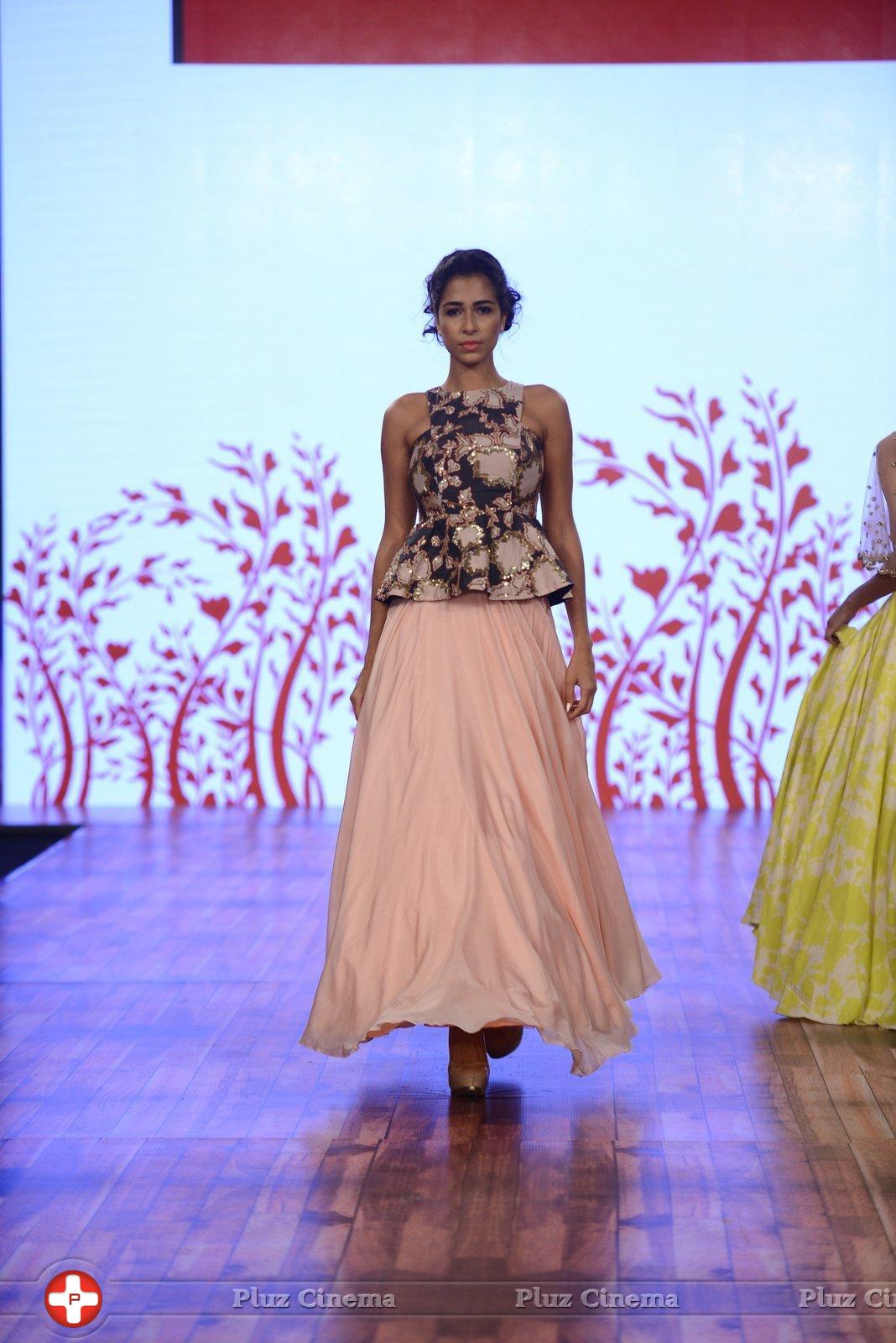 India Beach Fashion Week Day 1 All Shows with Showstoppers Stills | Picture 1321935