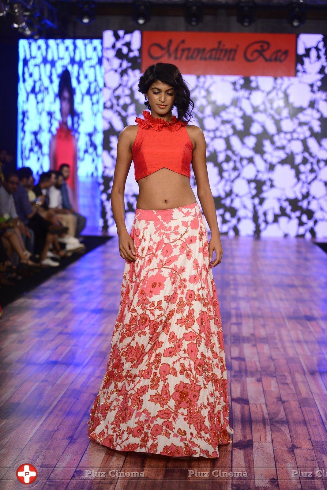 India Beach Fashion Week Day 1 All Shows with Showstoppers Stills | Picture 1322007