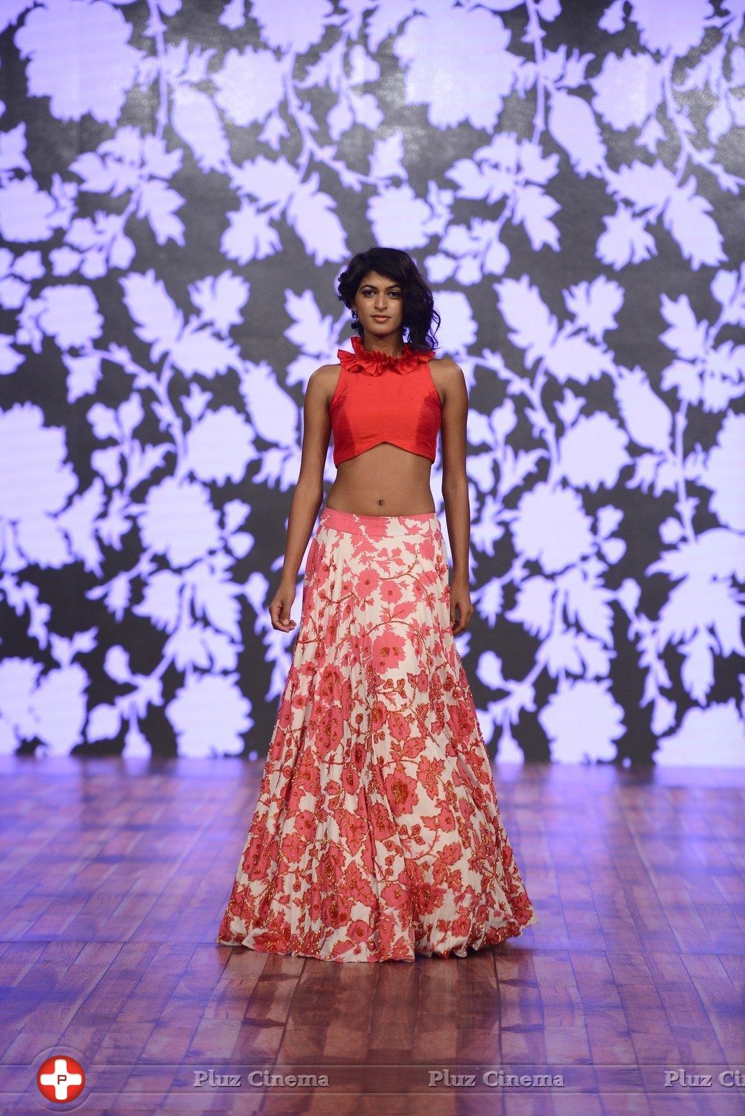 India Beach Fashion Week Day 1 All Shows with Showstoppers Stills | Picture 1322033