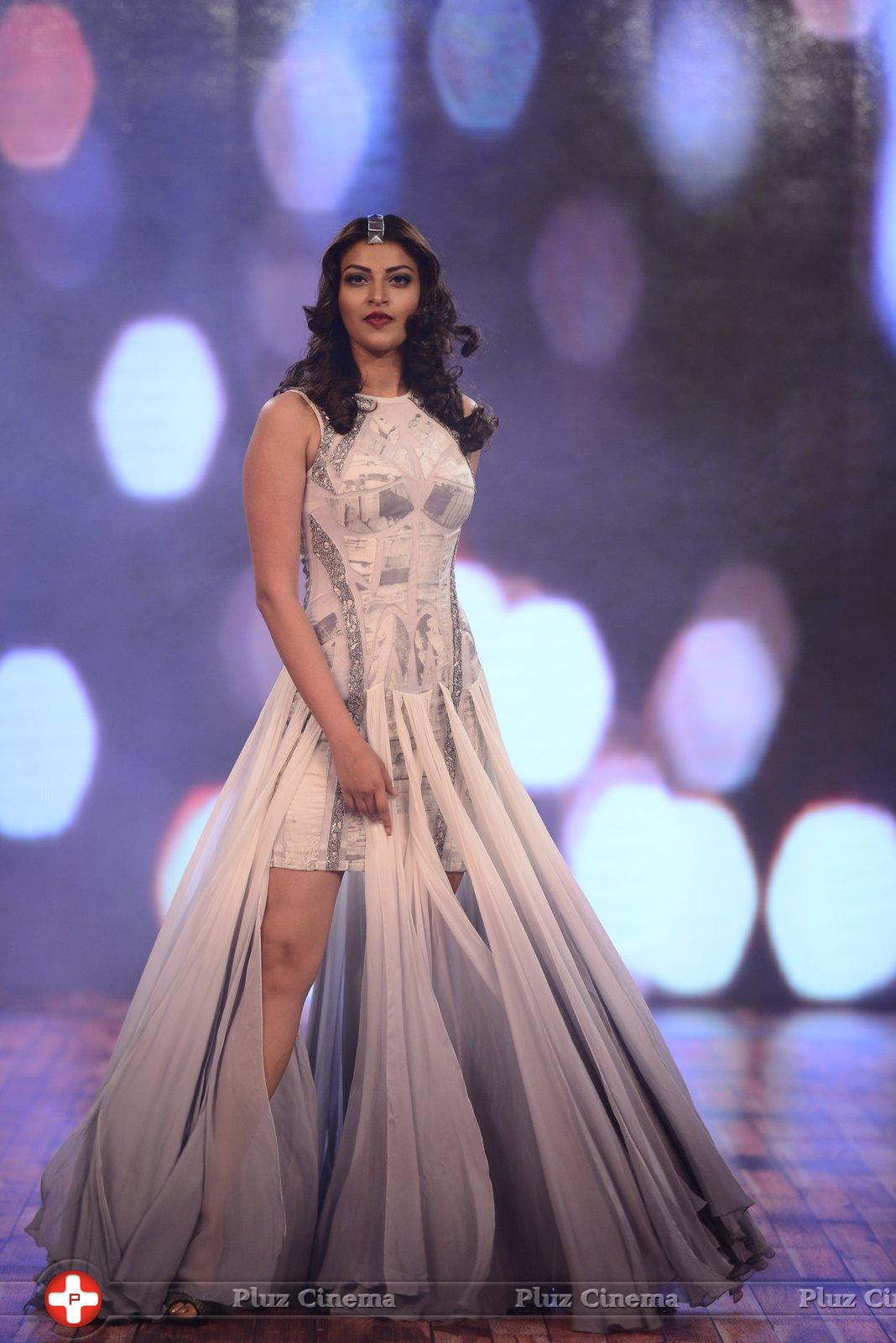 India Beach Fashion Week Day 1 All Shows with Showstoppers Stills | Picture 1322064