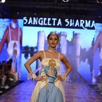 India Beach Fashion Week Day 1 All Shows with Showstoppers Stills | Picture 1321652