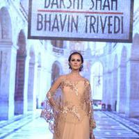 India Beach Fashion Week Day 1 All Shows with Showstoppers Stills | Picture 1321664