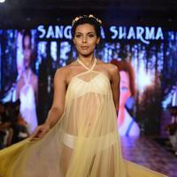 India Beach Fashion Week Day 1 All Shows with Showstoppers Stills | Picture 1321672