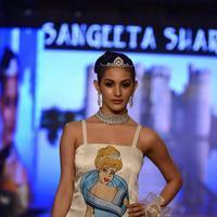 India Beach Fashion Week Day 1 All Shows with Showstoppers Stills | Picture 1321673