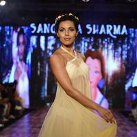 India Beach Fashion Week Day 1 All Shows with Showstoppers Stills | Picture 1321693