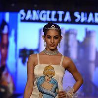 India Beach Fashion Week Day 1 All Shows with Showstoppers Stills | Picture 1321694