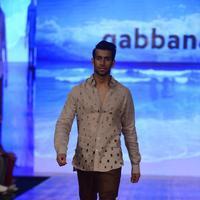 India Beach Fashion Week Day 1 All Shows with Showstoppers Stills | Picture 1321708