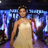 India Beach Fashion Week Day 1 All Shows with Showstoppers Stills | Picture 1321713