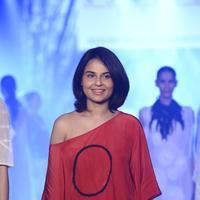 India Beach Fashion Week Day 1 All Shows with Showstoppers Stills | Picture 1321726