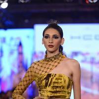 India Beach Fashion Week Day 1 All Shows with Showstoppers Stills | Picture 1321741